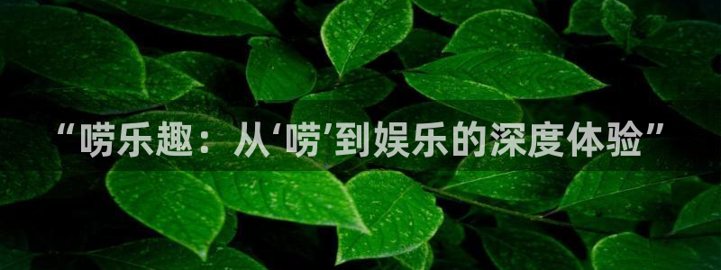 万事娱乐登录：“唠乐趣：从‘唠’到娱乐的深度体验”