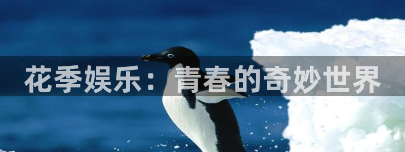 万事娱乐登录：花季娱乐：青春的奇妙世界