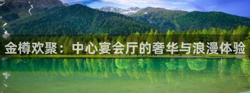 万事娱乐登录：金樽欢聚：中心宴会厅的奢华与浪漫体验