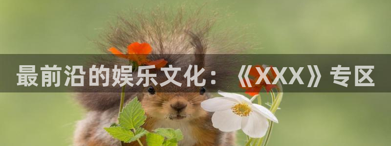 万事娱乐：最前沿的娱乐文化：《XXX》专区