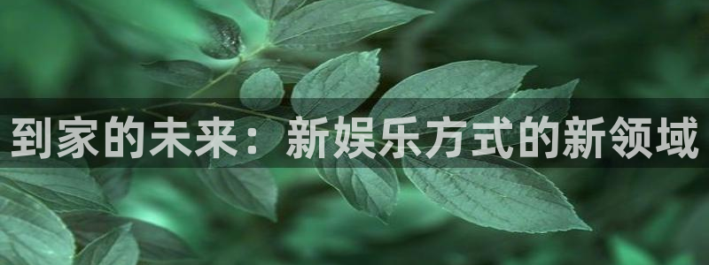 万事娱乐：到家的未来：新娱乐方式的新领域