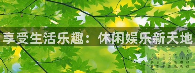 万事娱乐：享受生活乐趣：休闲娱乐新天地