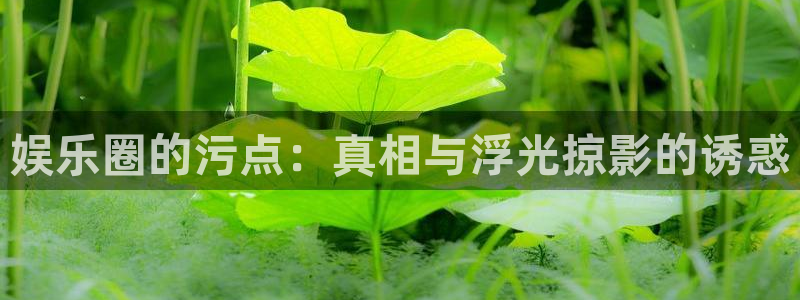 万事娱乐登录地址：娱乐圈的污点：真相与浮光掠影的诱惑