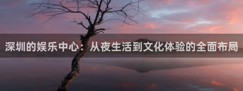 万事娱乐：深圳的娱乐中心：从夜生活到文化体验的全面布局