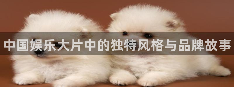 万事娱乐：中国娱乐大片中的独特风格与品牌故事