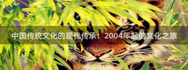 万事娱乐登录地址：中国传统文化的现代传承：2004年起的文化之旅