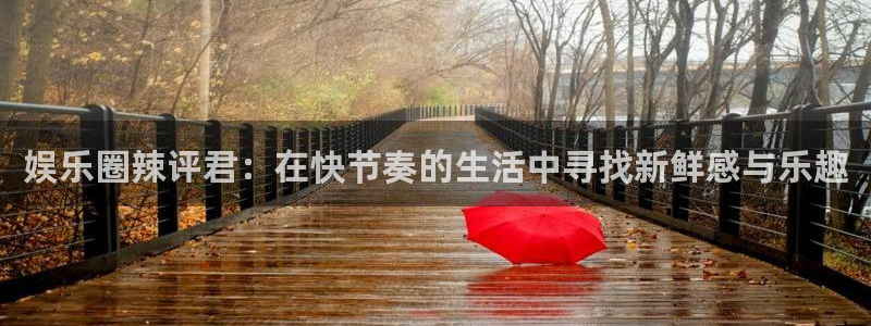 万事娱乐登录：娱乐圈辣评君：在快节奏的生活中寻找新鲜感与乐趣